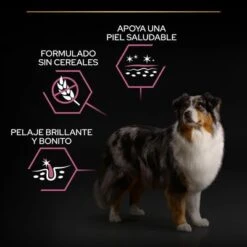 PURINA PRO PLAN Medium & Large Adult 7+ Sensitive Skin 15 PURINA PRO PLAN Medium & Large Adult 7+ Sensitive Skin -Trixie Tienda De Ventas pu proplan dog senstvskin benefittile 8