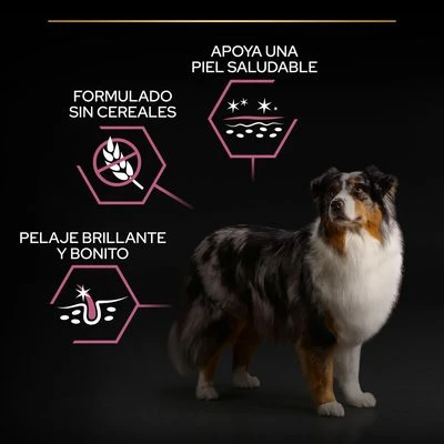 PURINA PRO PLAN Medium & Large Adult 7+ Sensitive Skin 6 PURINA PRO PLAN Medium & Large Adult 7+ Sensitive Skin - Imagen 6