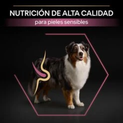PURINA PRO PLAN Medium & Large Adult 7+ Sensitive Skin 14 PURINA PRO PLAN Medium & Large Adult 7+ Sensitive Skin -Trixie Tienda De Ventas pu proplan dog senstvskin productdesc 3