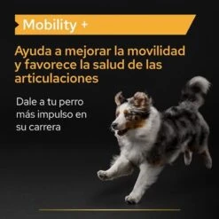 PRO PLAN Dog Adult Mobility Supplement En Polvo 14 PRO PLAN Dog Adult Mobility Supplement En Polvo -Trixie Tienda De Ventas pu supplementals atf mobility a 220513 es es 6