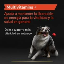 PRO PLAN Dog Adult Multivitamins Supplement Comprimidos -Trixie Tienda De Ventas pu supplementals atf multivitamins dog a 220513 es es 9