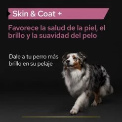 PRO PLAN Dog Adult Skin And Coat Supplement Aceite -Trixie Tienda De Ventas pu supplementals atf skin coat dog a 220513 es es 2
