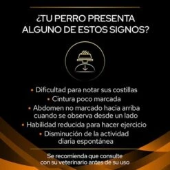 Purina OM Obesity Management Veterinary Diets Pienso Perros 14 Purina OM Obesity Management Veterinary Diets Pienso Perros -Trixie Tienda De Ventas puppvdddppvom22dles 220629 1 1657171060665 3
