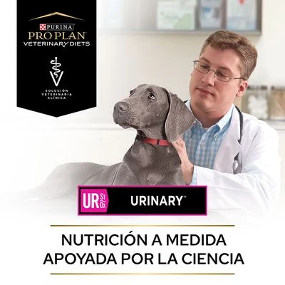 Purina UR Urinary Veterinary Diets Pienso Para Perros 6 Purina UR Urinary Veterinary Diets Pienso Para Perros - Imagen 6