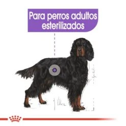 Royal Canin Maxi Adult Sterilised -Trixie Tienda De Ventas rc ccn sterilisedmaxi cv eretailkit 2 es es 3