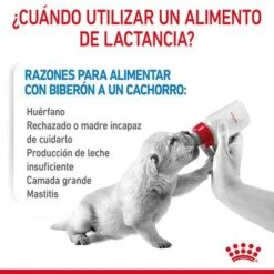 Royal Canin Babydog Milk 20 Royal Canin Babydog Milk -Trixie Tienda De Ventas rc chn babydogmilk 2kg cv 2 es es pdf 6