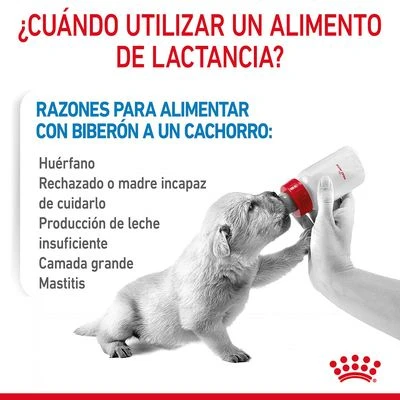 Royal Canin Babydog Milk 7 Royal Canin Babydog Milk - Imagen 7