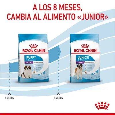 Royal Canin Giant Puppy 11 Royal Canin Giant Puppy - Imagen 11
