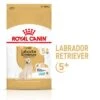 Royal Canin Labrador Retriever Adult 5+