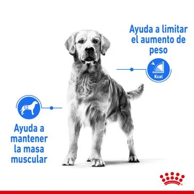 Royal Canin Medium Light Weight Care 3 Royal Canin Medium Light Weight Care - Imagen 3