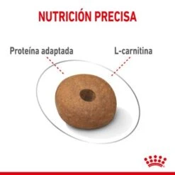 Royal Canin Medium Light Weight Care 12 Royal Canin Medium Light Weight Care -Trixie Tienda De Ventas rc spt dry lightweightmed cv 3 es es 1 7