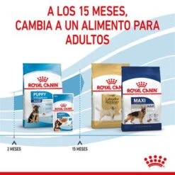 Royal Canin Maxi Puppy 23 Royal Canin Maxi Puppy -Trixie Tienda De Ventas rc spt dry maxipuppy cv 5 es es 2