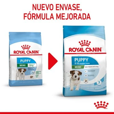 Royal Canin Mini Puppy / Junior 3 Royal Canin Mini Puppy / Junior - Imagen 3