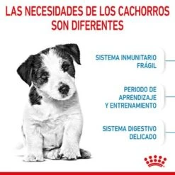 Royal Canin Mini Puppy / Junior 16 Royal Canin Mini Puppy / Junior -Trixie Tienda De Ventas rc spt dry minipuppy cv 2 es es 8