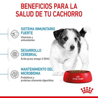 Royal Canin Mini Puppy / Junior 6 Royal Canin Mini Puppy / Junior - Imagen 6