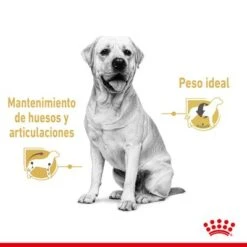 Royal Canin Labrador Retriever Adult 5+ -Trixie Tienda De Ventas rc spt wet labad cv 1 es es 0