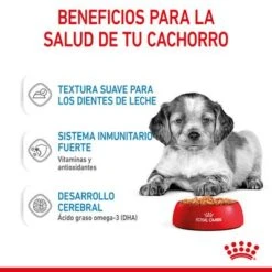Royal Canin Medium Puppy En Salsa Para Perros -Trixie Tienda De Ventas rc spt wet mediumpuppy cv 3 es es 6
