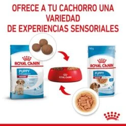 Royal Canin Medium Puppy En Salsa Para Perros -Trixie Tienda De Ventas rc spt wet mediumpuppy cv 4 es es 1