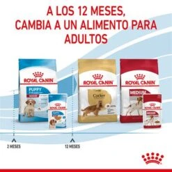 Royal Canin Medium Puppy En Salsa Para Perros -Trixie Tienda De Ventas rc spt wet mediumpuppy cv 8 es es 9