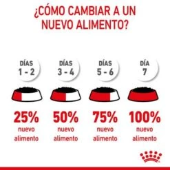Royal Canin Medium Puppy En Salsa Para Perros -Trixie Tienda De Ventas rc spt wet mediumpuppy cv 9 es es 1