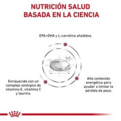 Royal Canin Veterinary Canine Cardiac Pienso Para Perros -Trixie Tienda De Ventas rc vdi cardiacdry cv eretailkit 3 es es 6