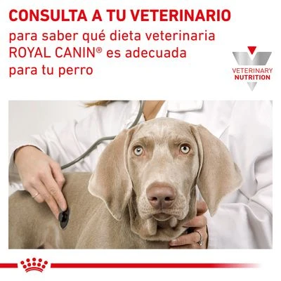 Royal Canin Veterinary Gastro Intestinal Puppy Pienso Para Perros 8 Royal Canin Veterinary Gastro Intestinal Puppy Pienso Para Perros - Imagen 8