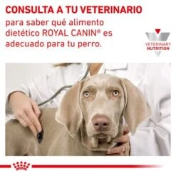 Royal Canin Veterinary Canine Hypoallergenic Puppy Pienso Para Perros -Trixie Tienda De Ventas rc vet dry doghypopu cv eretailkit 6 es es 2