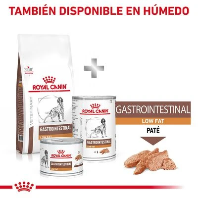 Royal Canin Veterinary Canine Gastrointestinal Low Fat Pienso Para Perros 9 Royal Canin Veterinary Canine Gastrointestinal Low Fat Pienso Para Perros - Imagen 9