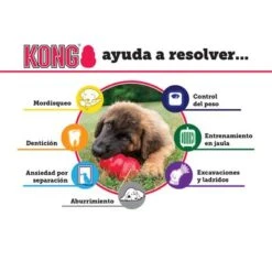 KONG Extreme Juguete Negro Para Perros 16 KONG Extreme Juguete Negro Para Perros -Trixie Tienda De Ventas solutions es 4