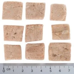 Pack Ahorro 4 X Wolf Of Wilderness RAW Snacks Liofilizados Premium 21 Pack Ahorro 4 X Wolf Of Wilderness RAW Snacks Liofilizados Premium -Trixie Tienda De Ventas wow fd snack blue river cubes with ruler 4