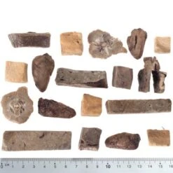 Calendario De Adviento 2023 Para Perros De Wolf Of Wilderness Sin Cereales 9 Calendario De Adviento 2023 Para Perros De Wolf Of Wilderness Sin Cereales -Trixie Tienda De Ventas wow raw mixed fg 5427 2 1