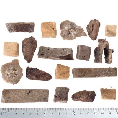 Wolf Of Wilderness RAW 5 Snacks Liofilizados - 5 Sabores 2 Wolf Of Wilderness RAW 5 Snacks Liofilizados - 5 Sabores - Imagen 2