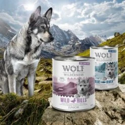 Wolf Of Wilderness Free Range Junior 6 X 400 G 10 Wolf Of Wilderness Free Range Junior 6 X 400 G -Trixie Tienda De Ventas zop 21 048 wow nafu junior 800g 400g mood 4
