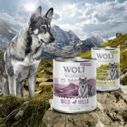 Wolf Of Wilderness Free Range Senior 6 X 400 G -Trixie Tienda De Ventas zop 21 048 wow nafu senior 800g 400g moodv2 1